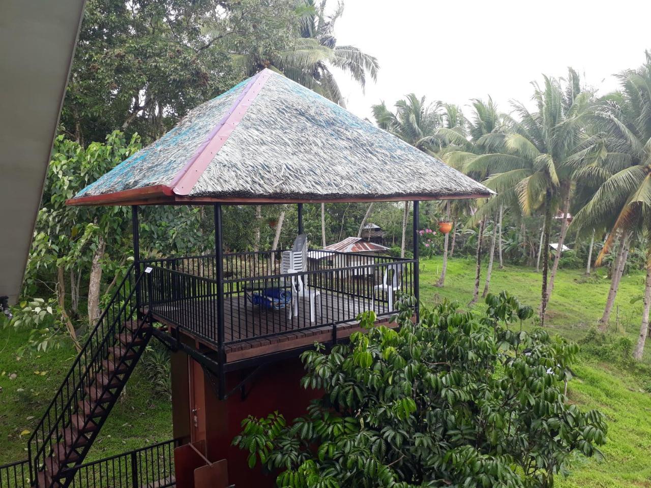 Villa Del Carmen Haven Bohol Kültér fotó