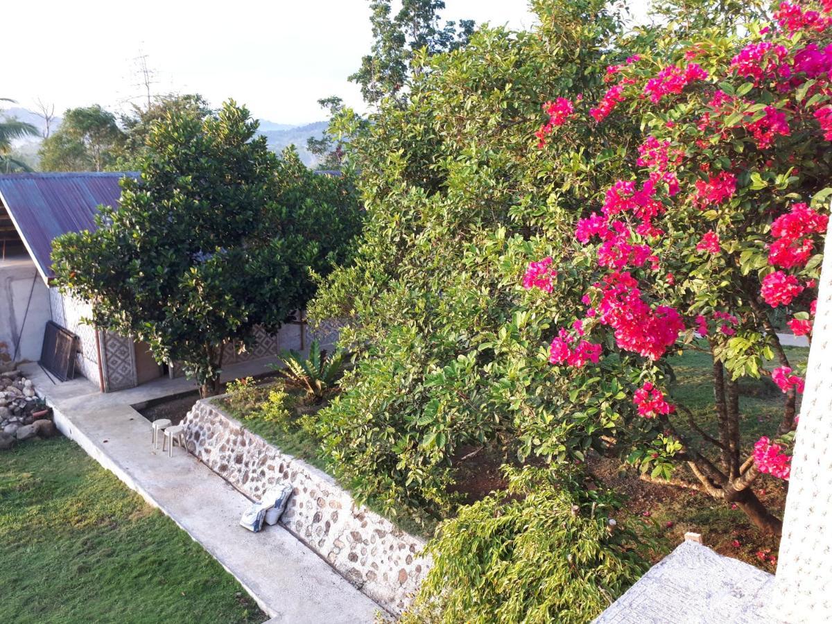 Villa Del Carmen Haven Bohol Kültér fotó