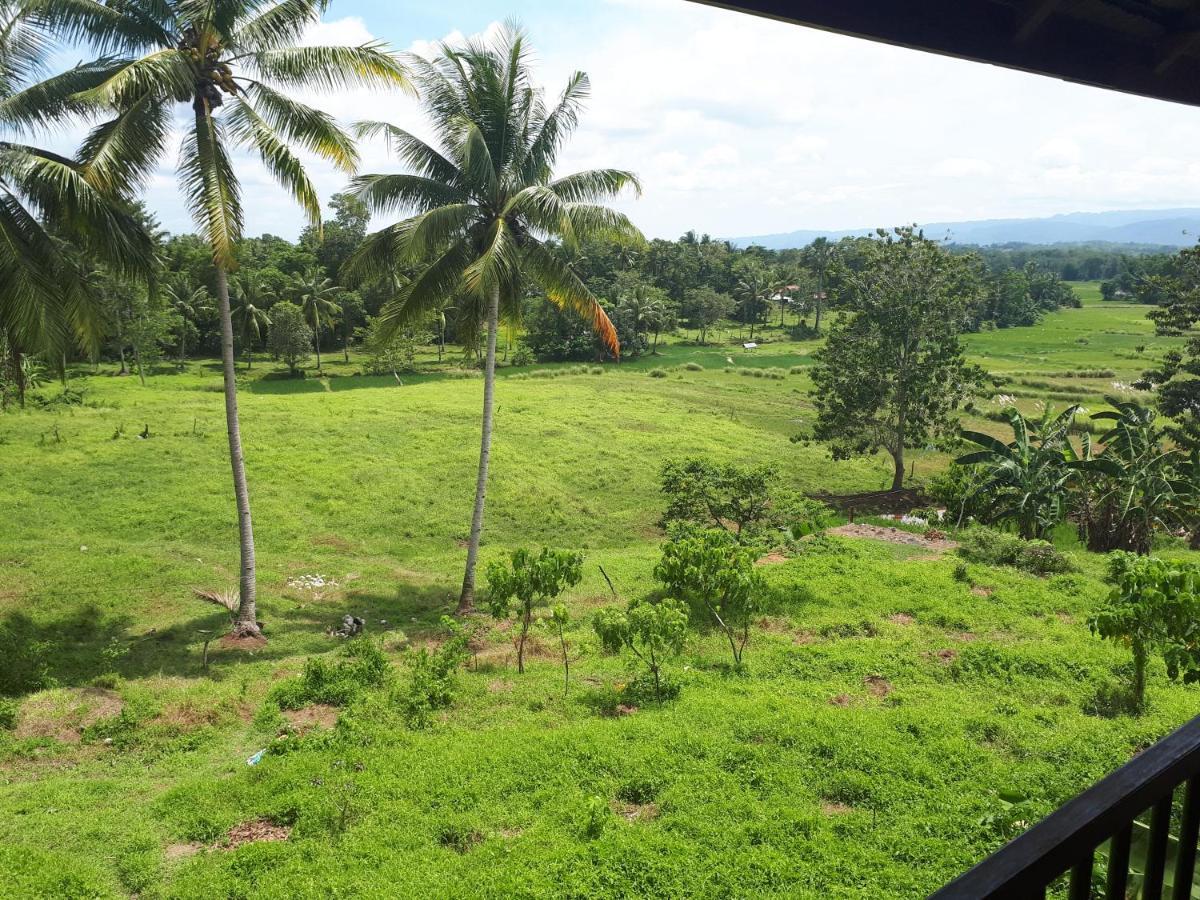 Villa Del Carmen Haven Bohol Kültér fotó